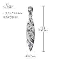 SP2803 写真6