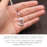 CG-SP2848 写真2