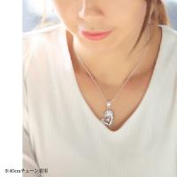 CG-SP2848 写真8