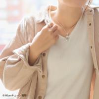 SP2848 写真3