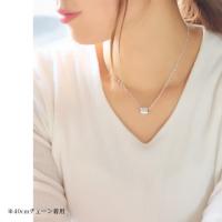 SP2866 写真3