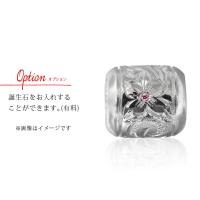 CG-SP2866P 写真5