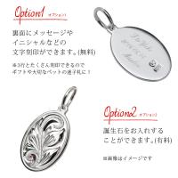 CG-SP2917P 写真5