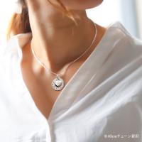 SP2918 写真3