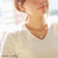 SP2918 写真10