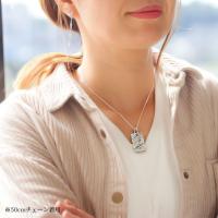 SP2938 写真10