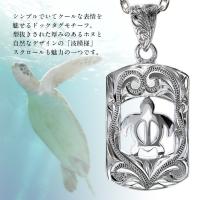 SP2957 写真2