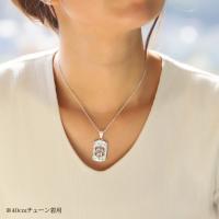 SP2957 写真3