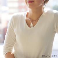 CG-SP2957P 写真10