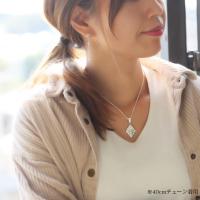 CG-SP2958P 写真10