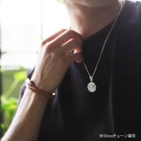 SP2959 写真4