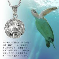 SP2959P 写真2