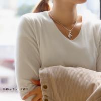 CG-SP2960 写真10