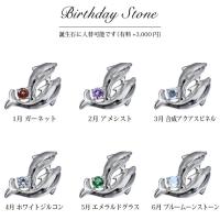 SP29801 写真2