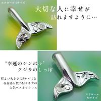CG-SP30801-SP30511P 写真2
