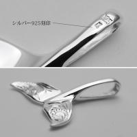 CG-SP30801P 写真10