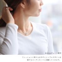 SP3123 写真3