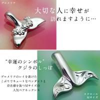 CG-SP31401-SP30511P 写真2