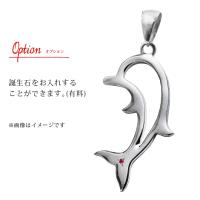CG-SP31701 写真5