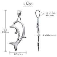 CG-SP31701 写真6