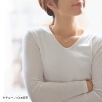 CG-SP3211P 写真9