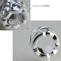 SP3236P 写真8