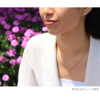SP3237 写真5
