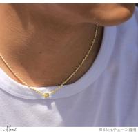 SP3238 写真10