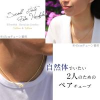 CG-SP3238P 写真2