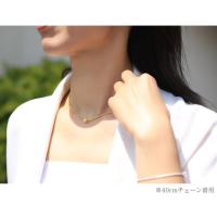 CG-SP3238P 写真5