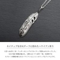 CG-SP323LP 写真2