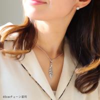 CG-SP324P 写真5