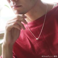 SP3263P 写真4