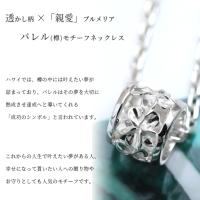 CG-SP33801 写真2