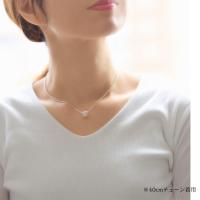 CG-SP33801 写真8