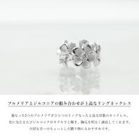 SP56908 写真2