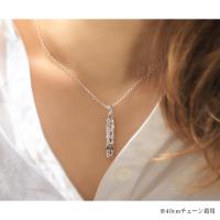 CG-SP317P 写真7