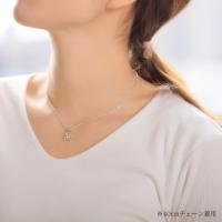 SP82828 写真3