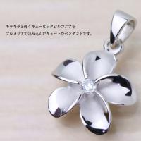 CG-SP82838 写真2