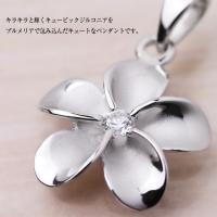 CG-SP82848 写真2