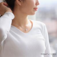 SP50001 写真6