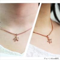 CG-SP56309 写真5