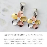 SP63818 写真2