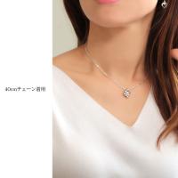 CG-SP86928 写真3