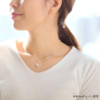 CG-SP81051 写真3