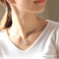 CG-SP81051 写真4