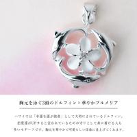 SP81051 写真2