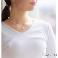 SP81051 写真6
