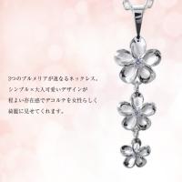 CG-SP86308 写真2