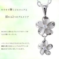 SP88158 写真2